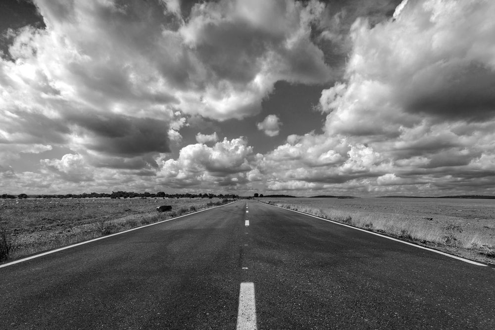 To Road de Fernando Pastoriza Rodriguez 