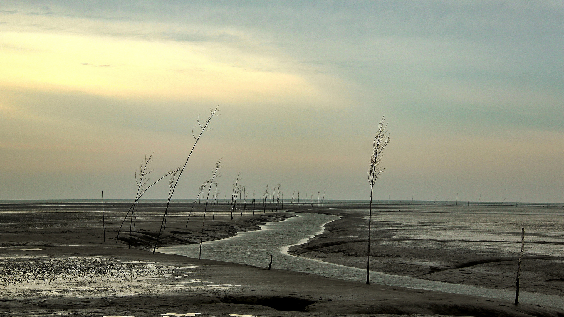 Ebbe Foto & Bild deutschland, europe, niedersachsen Bilder auf