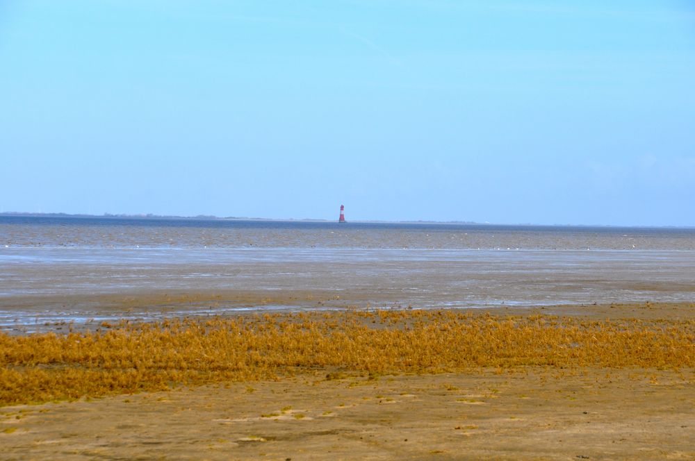 Ebbe von der strand reporter 