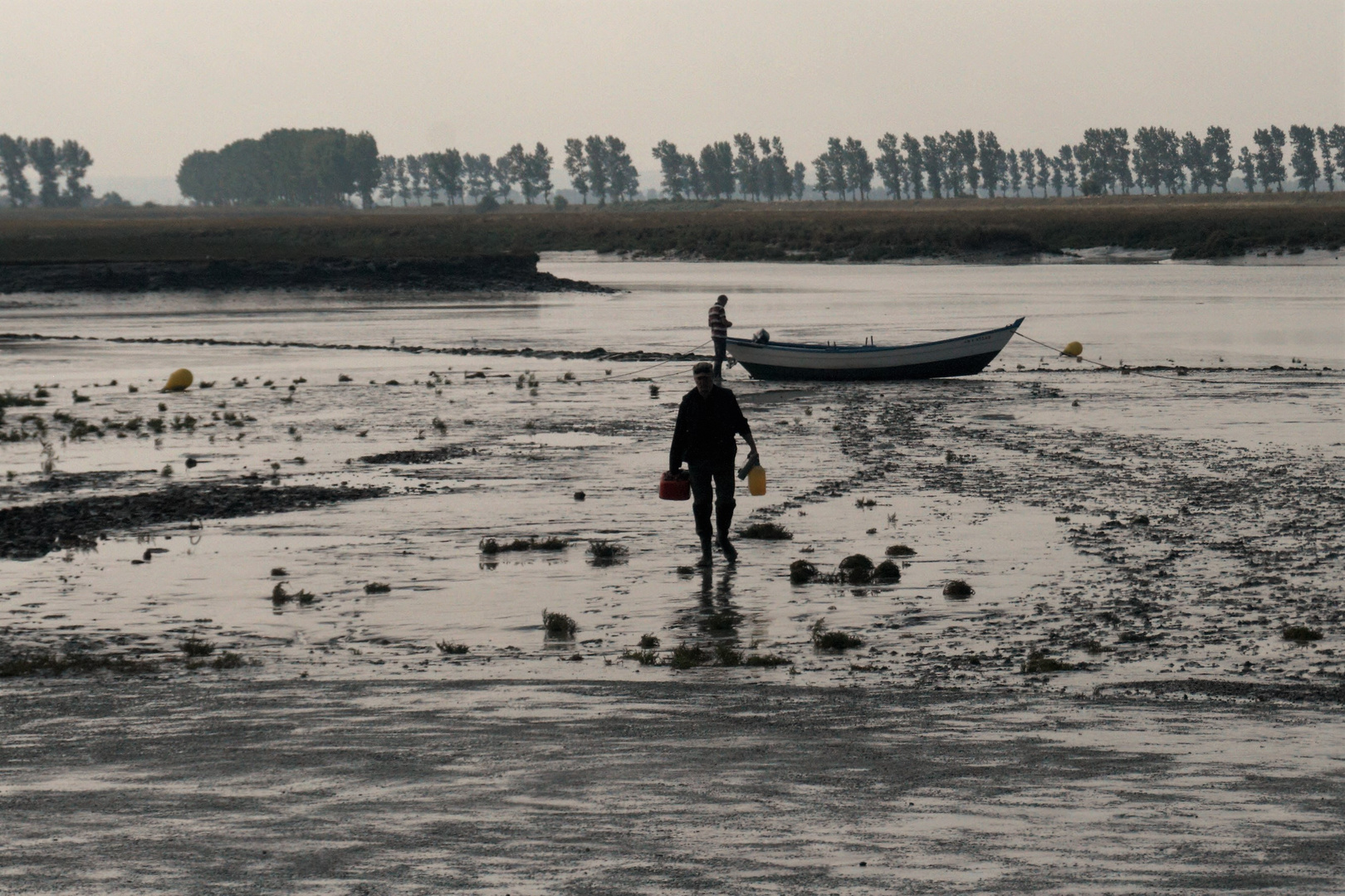 Ebbe Foto & Bild outdoor, strand, frankreich Bilder auf