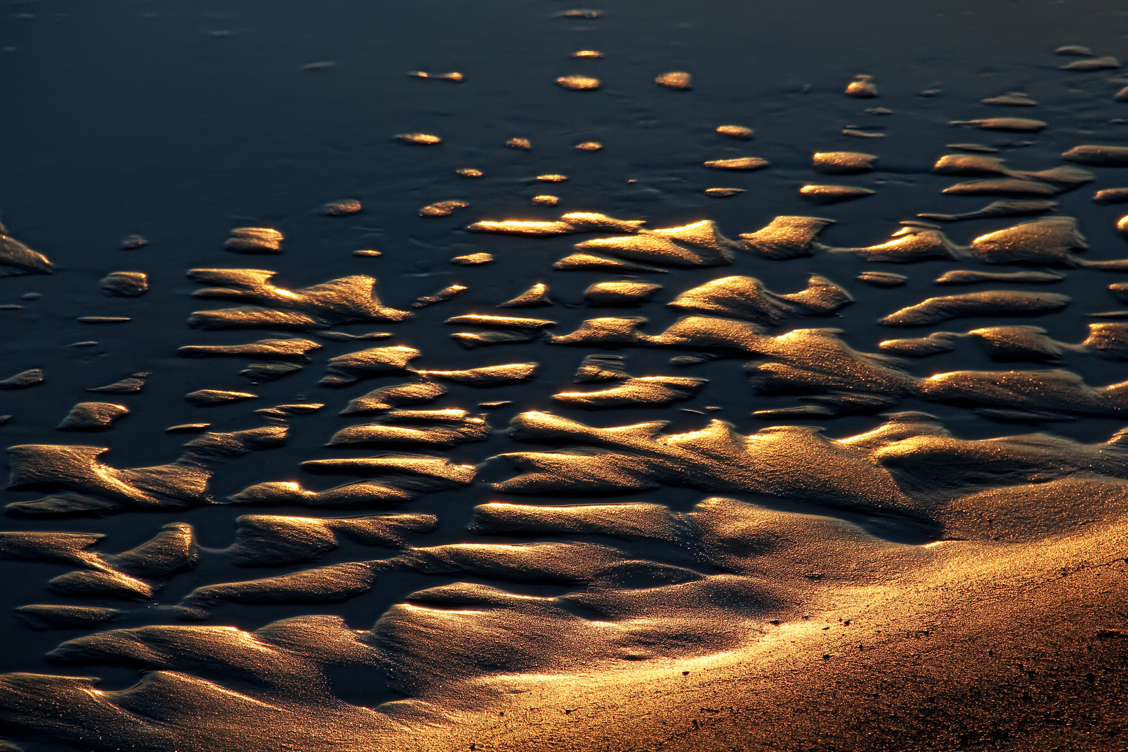 Ebbe am Flutsaum  -  low tide at the flood line