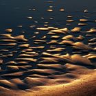 Ebbe am Flutsaum  -  low tide at the flood line