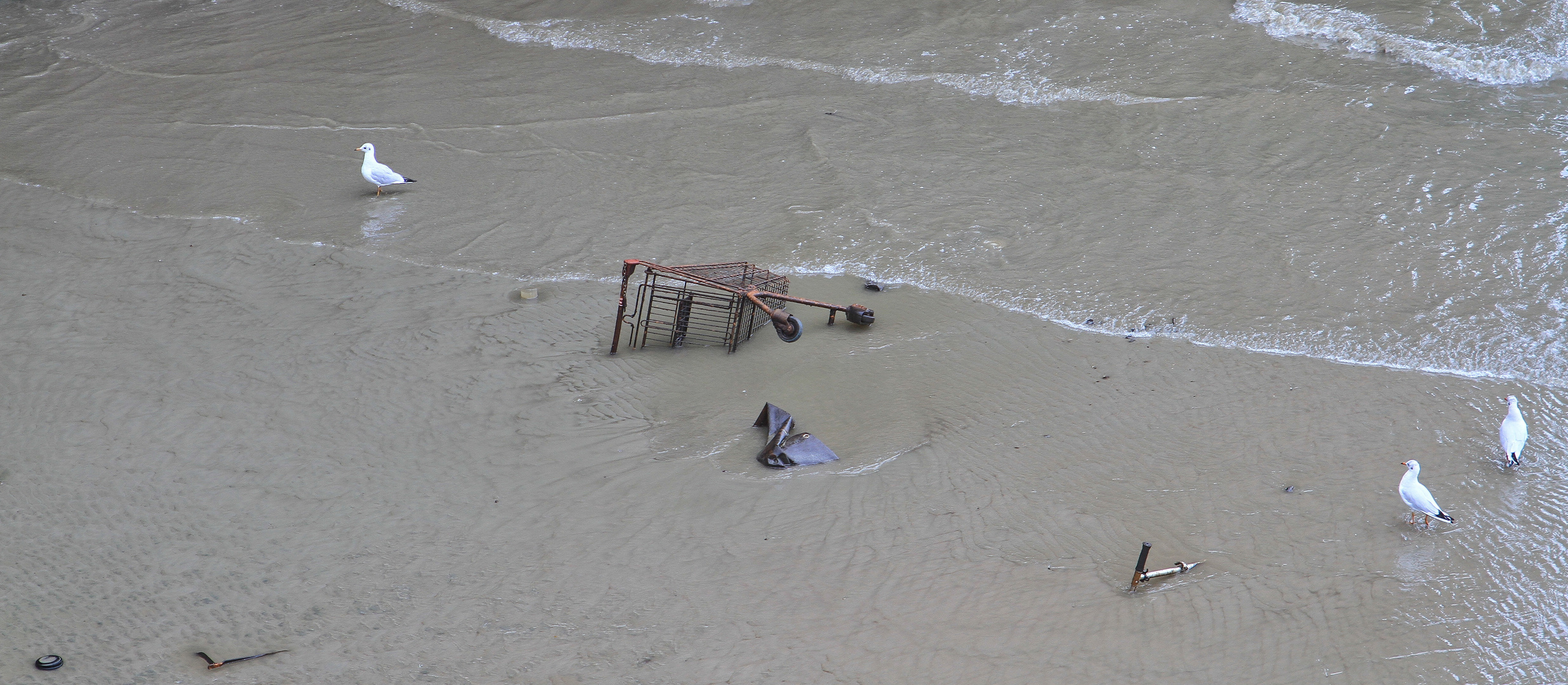 Ebbe am Holzhafen...