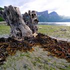 Ebbe am Romsdalsfjord / Norwegen