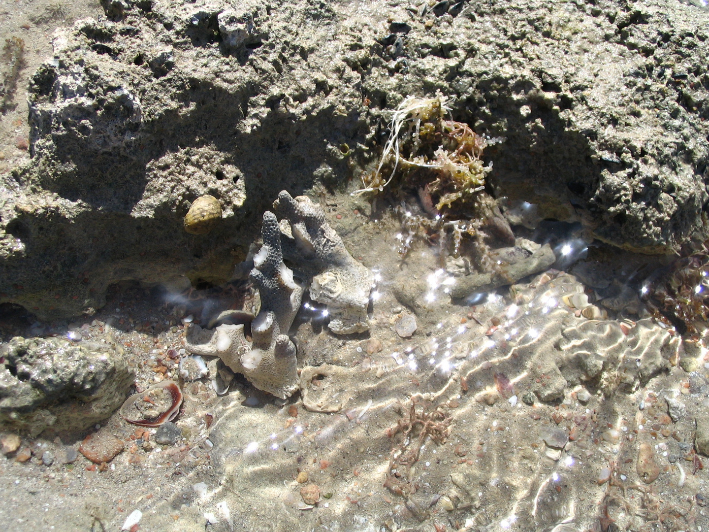 Ebbe am Roten Meer