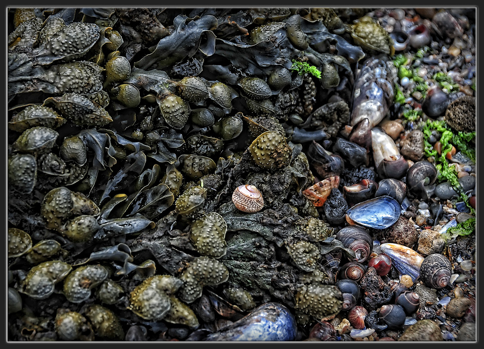 Ebbe am Strand