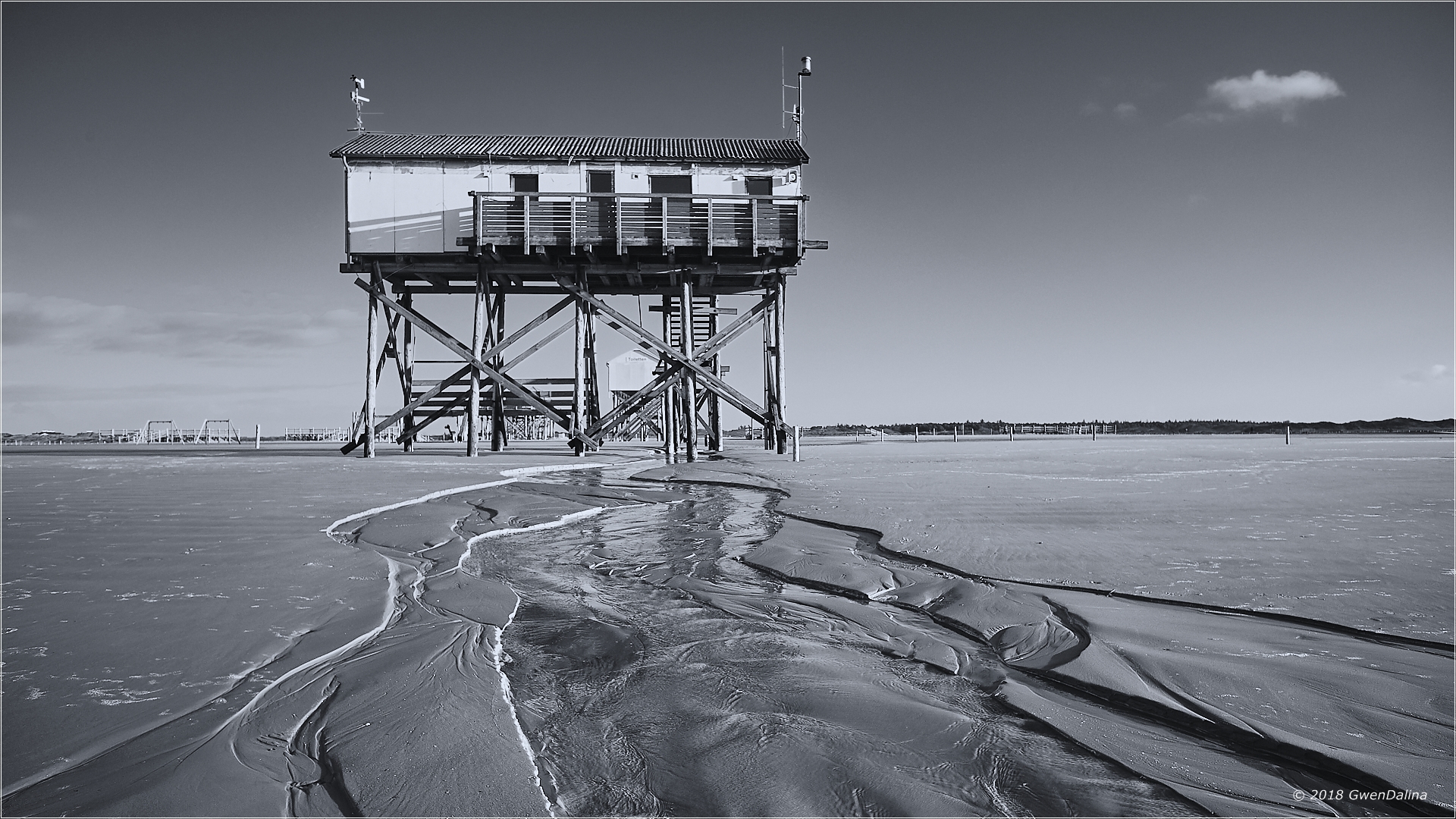 ::: Ebbe | am Strand :::