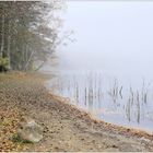 Ebbe am Tiefensee