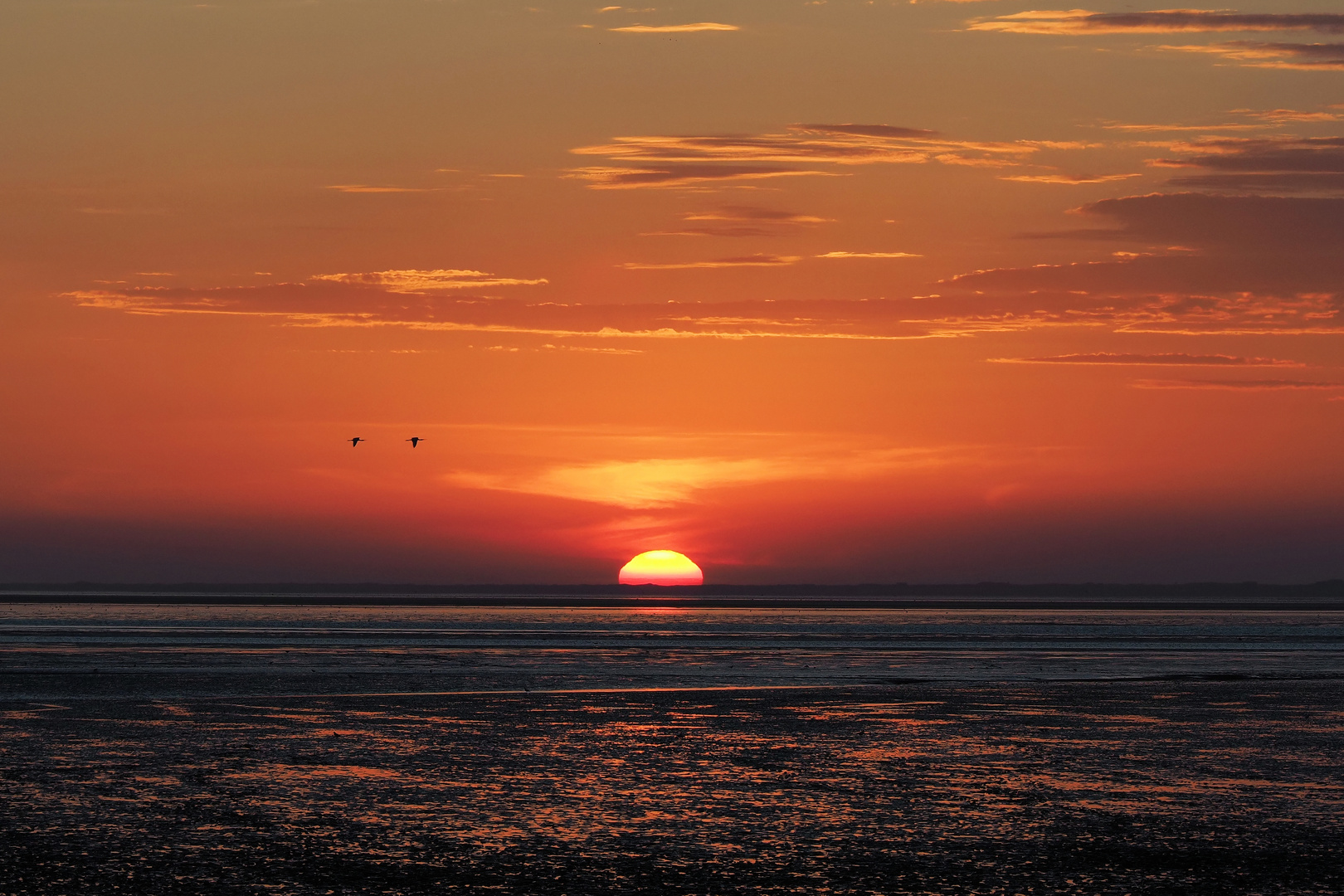 Ebbe am Wattenmeer