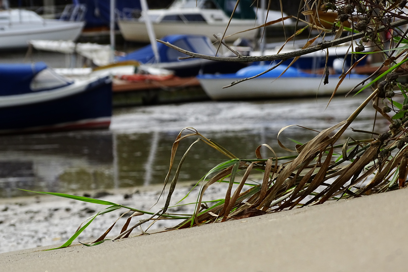 Ebbe an der Elbe