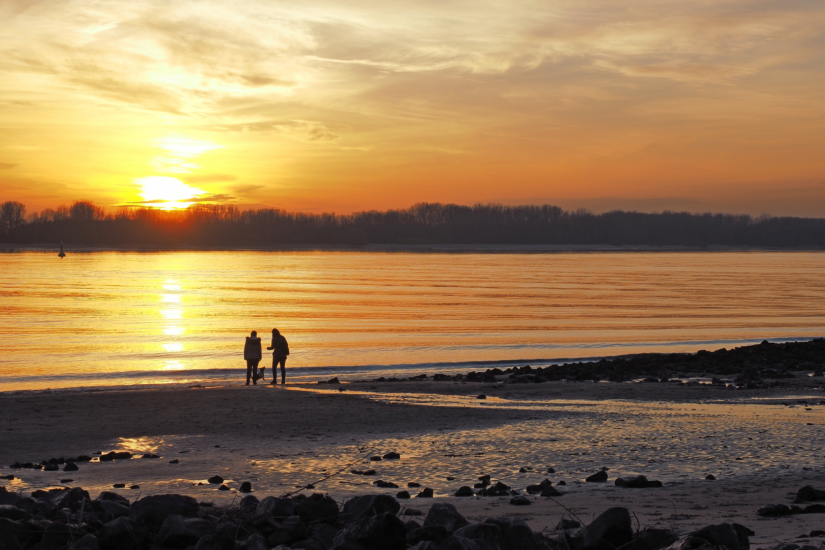 Ebbe an der Elbe