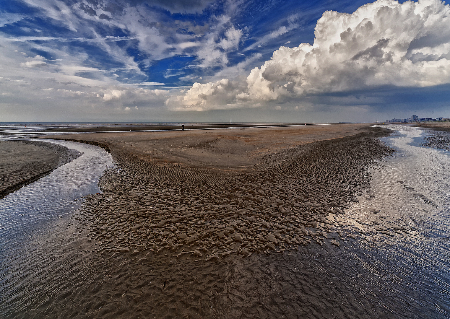 Ebbe an der Nordsee