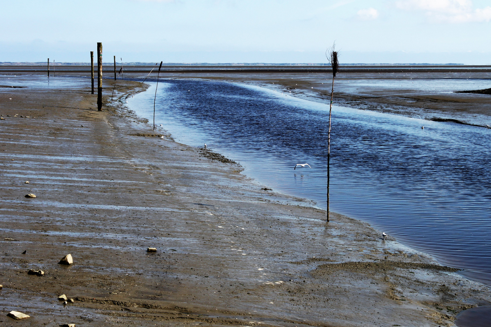 Ebbe an der Nordsee