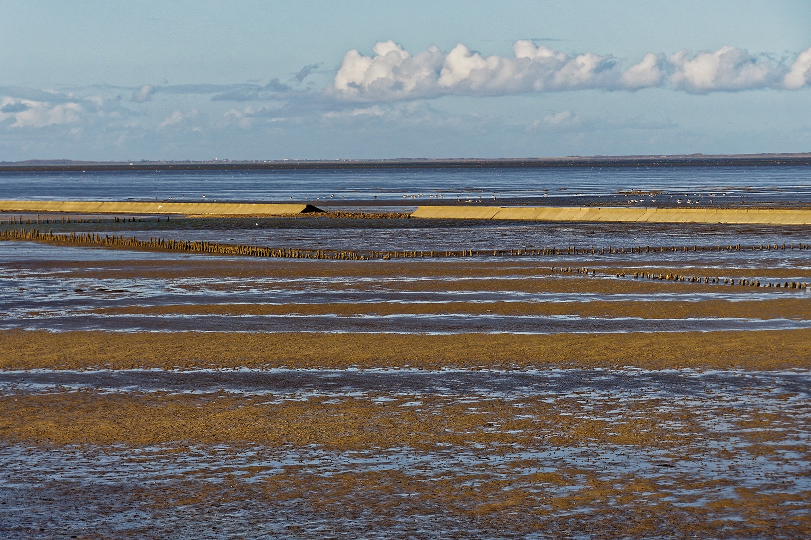 Ebbe an der Nordsee