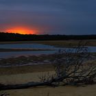 Ebbe an Rules Beach, NSW, Australia