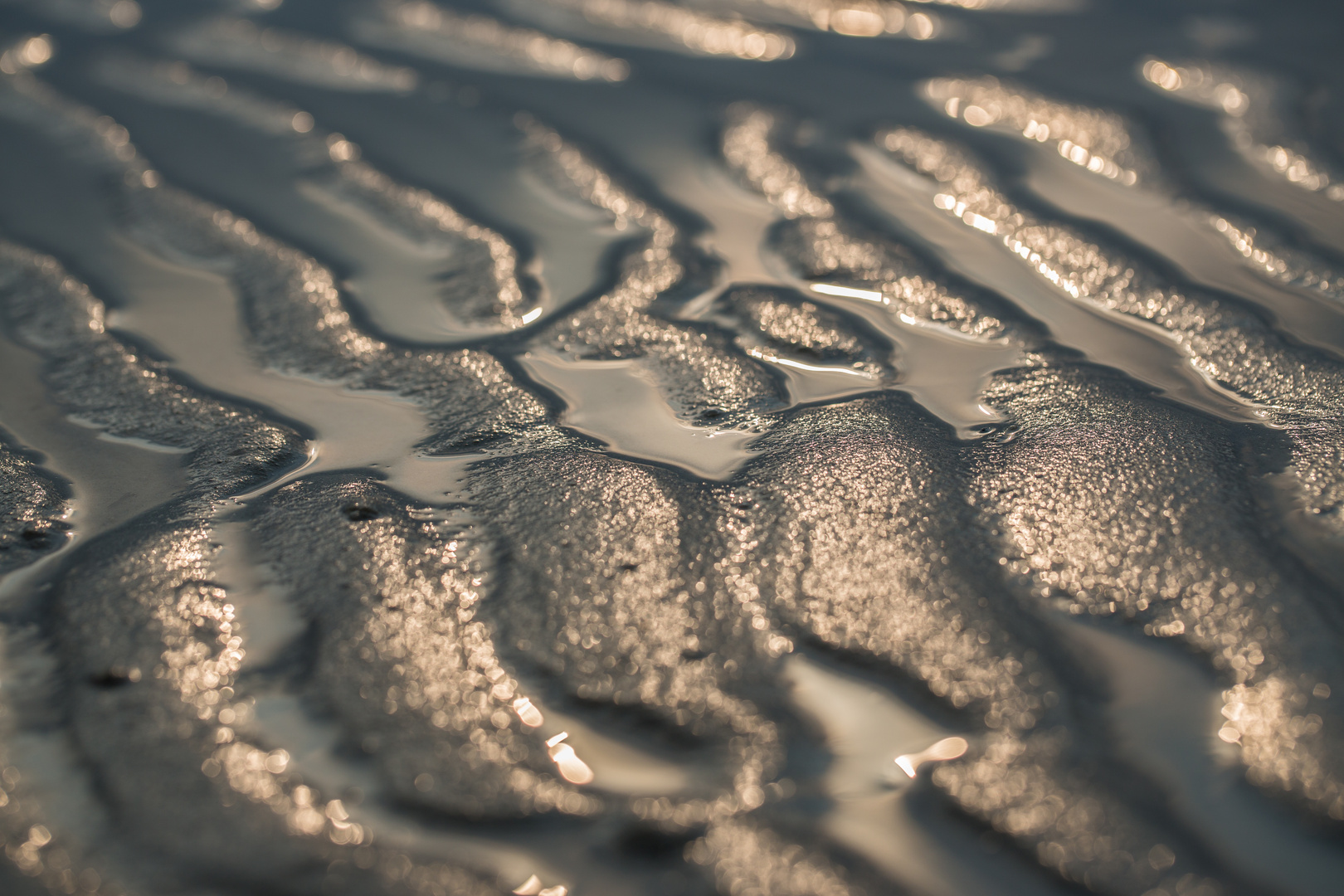 Ebbe auf Langeoog