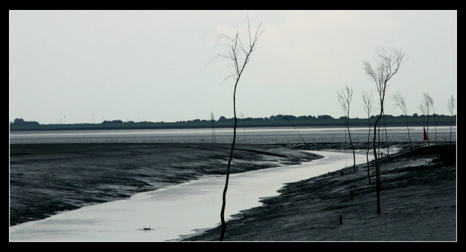 Ebbe auf Nordstrand