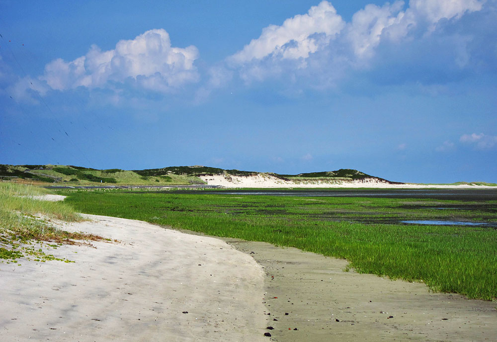 Ebbe auf Sylt