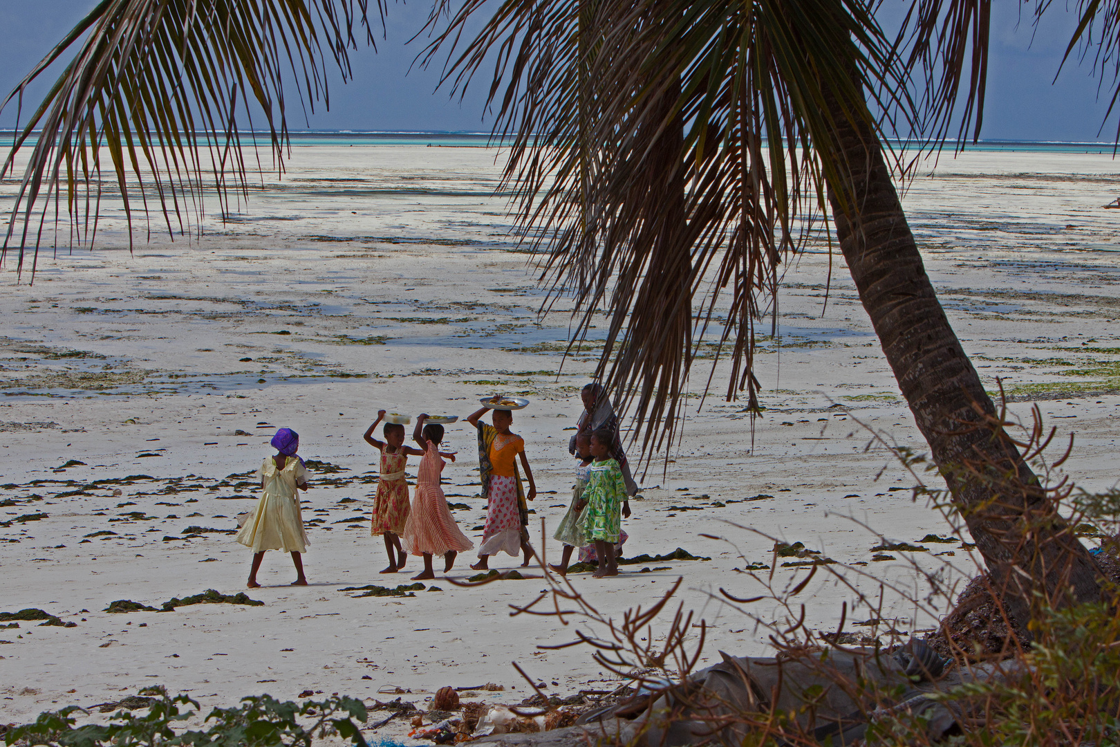 Ebbe auf Zanzibar