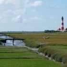 Ebbe bei Westerhever