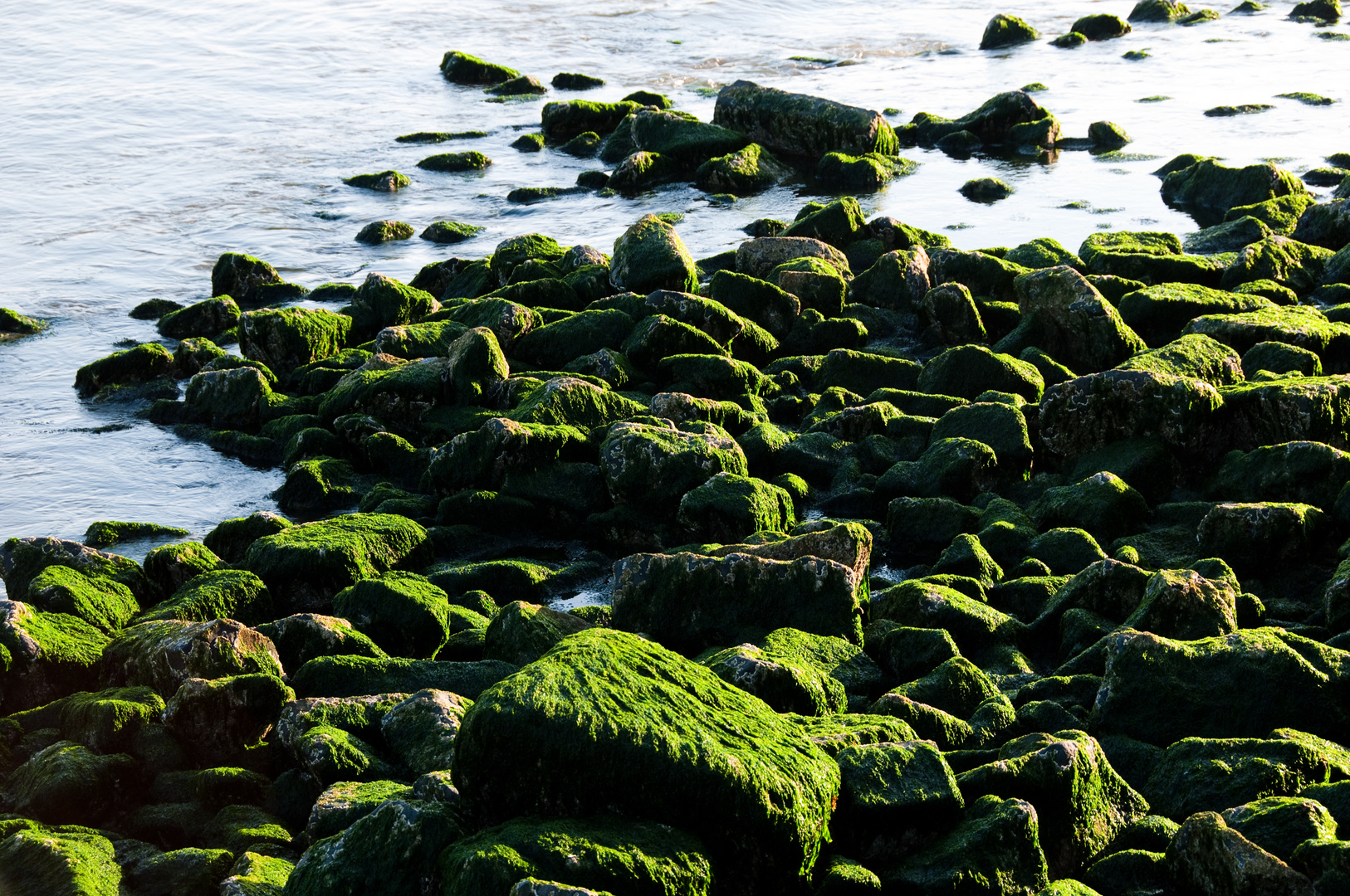 Ebbe, Borkum