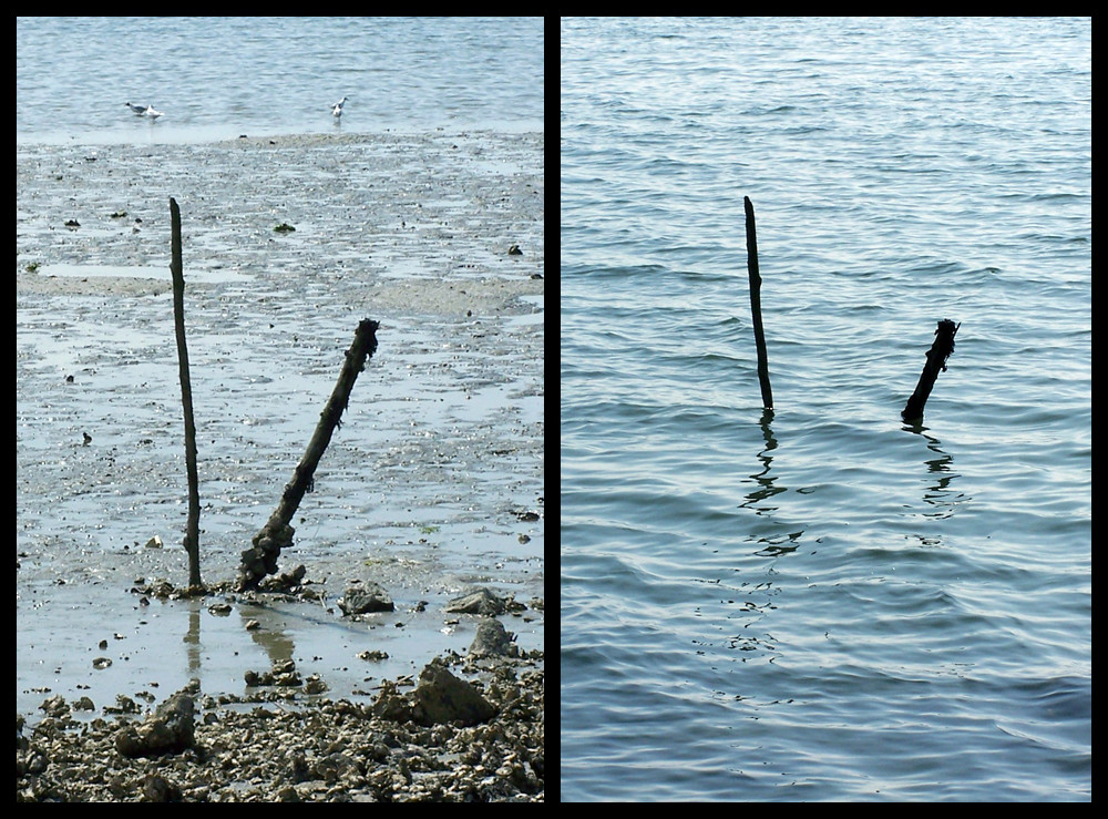 Ebbe Flut Foto Bild Landschaft Meer Strand Natur Bilder