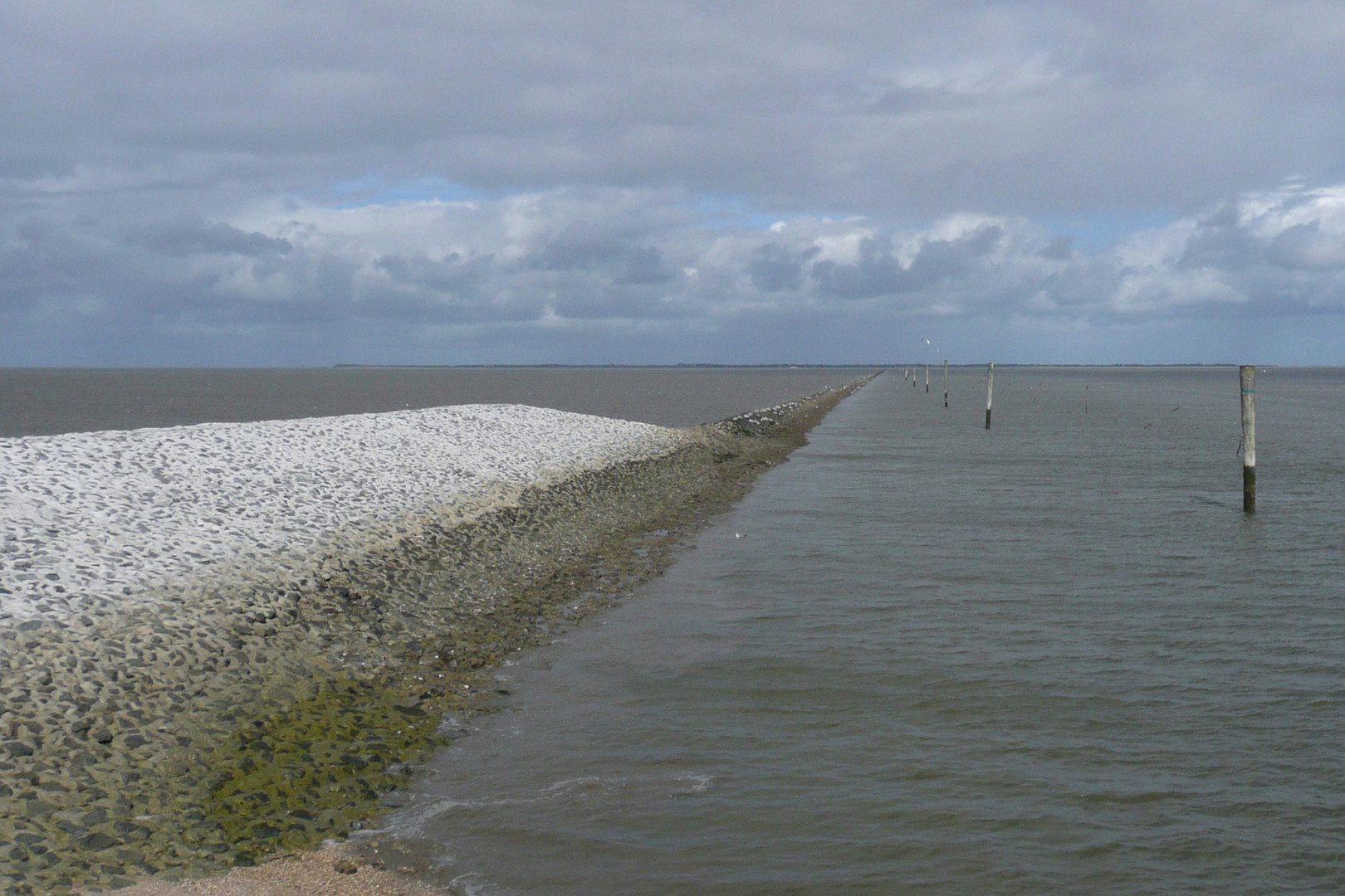 Ebbe im Hafen