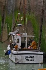 Ebbe im Hafen