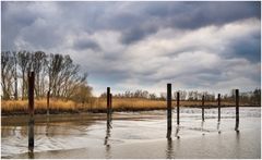 Ebbe im Haseldorfer Hafen