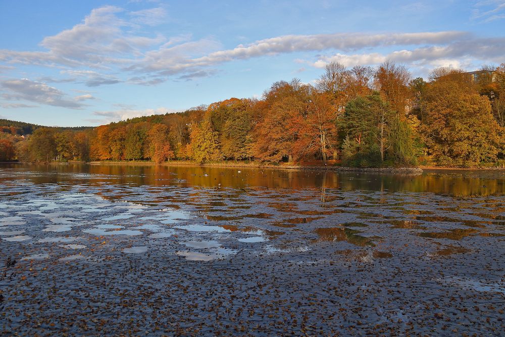 Ebbe im Parksee