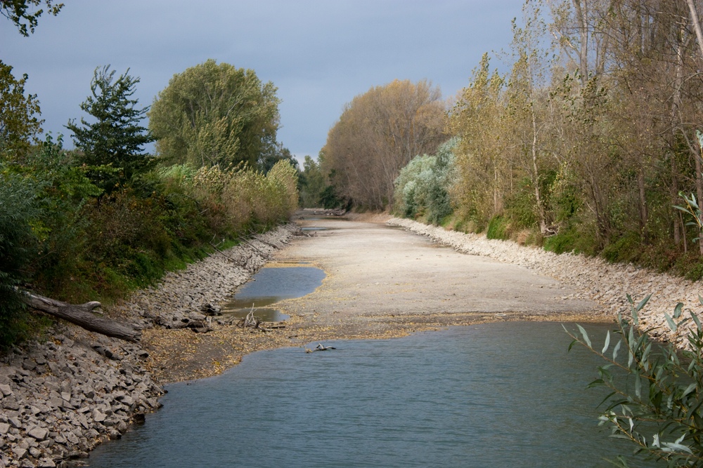 Ebbe im Rhein (1)