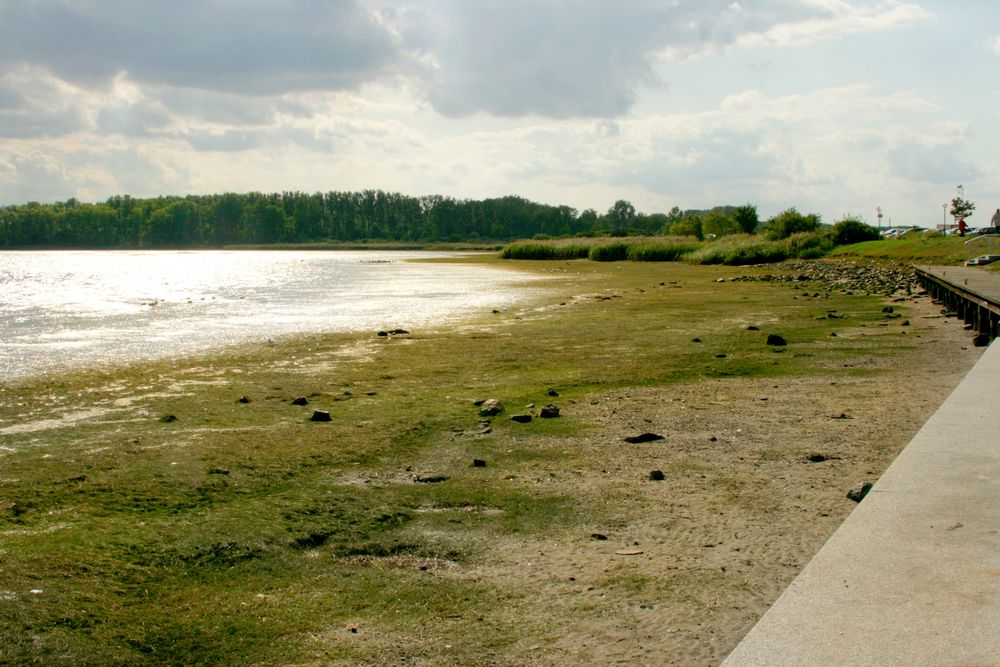 Ebbe im Salzhaff