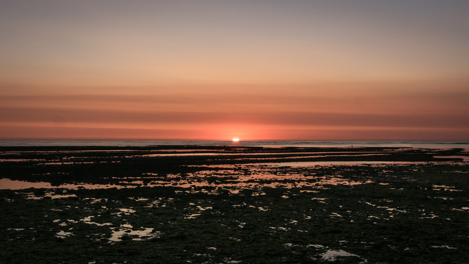 Ebbe im Sonneuntergang