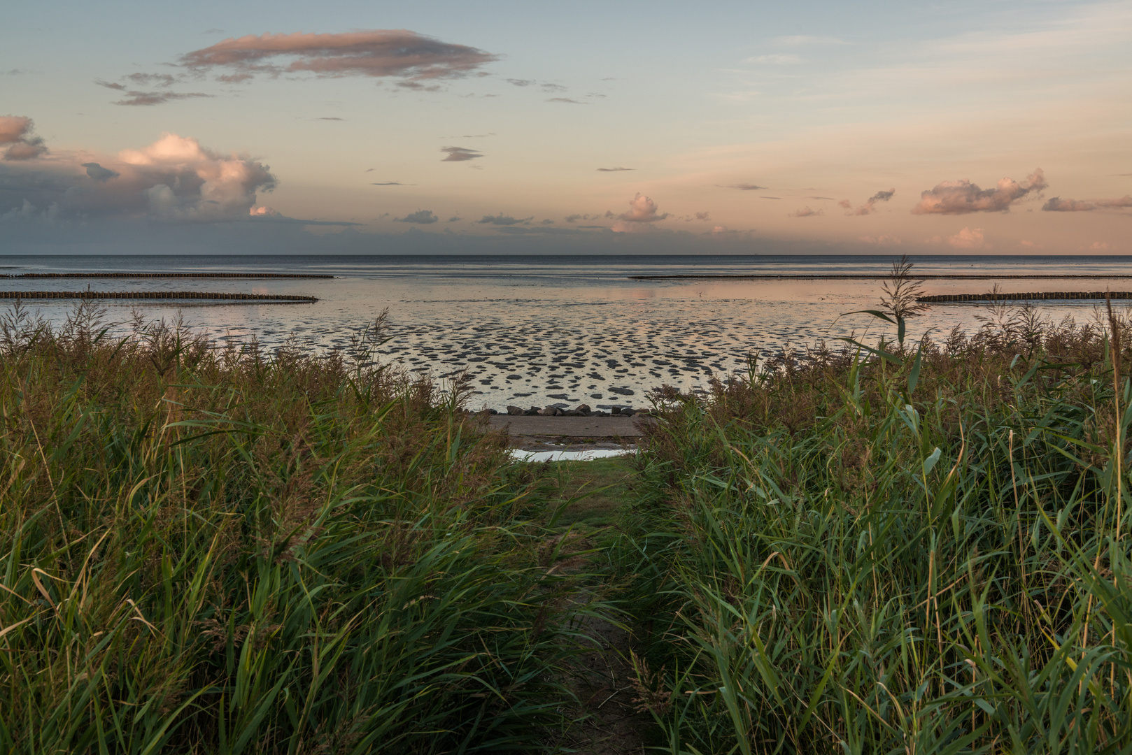 Ebbe im Wattenmeer