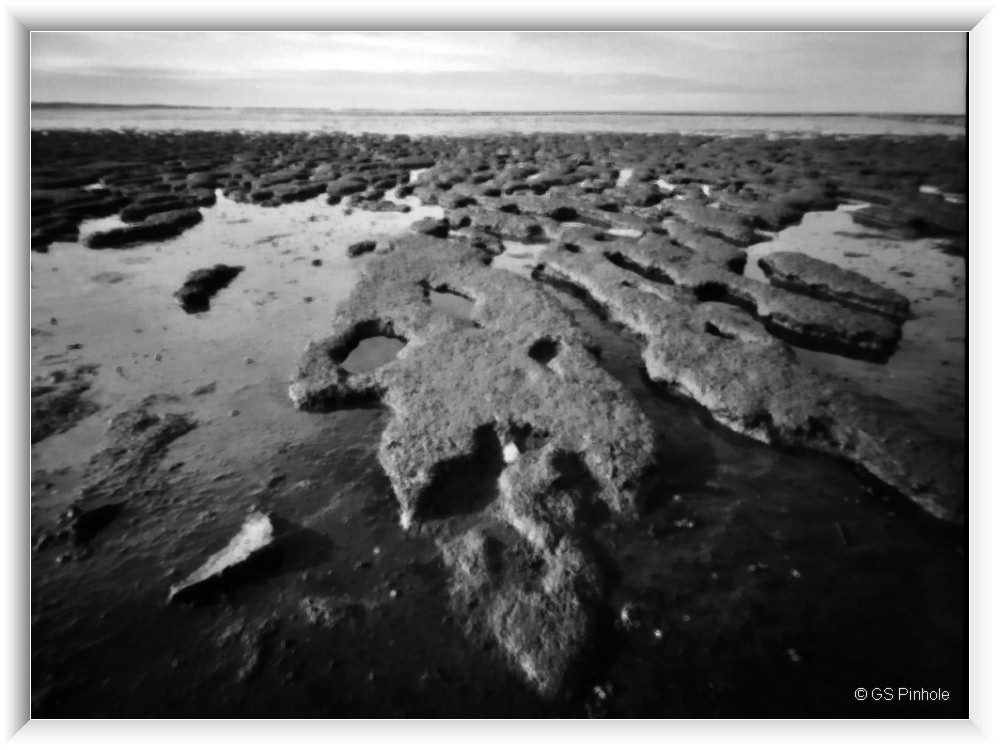 Ebbe im Wattenmeer bei Keitum / Sylt