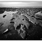 Ebbe im Wattenmeer bei Keitum / Sylt