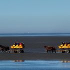 Ebbe in Cuxhaven