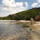 Ebbe in der Anse Source d'Argent, La Digue