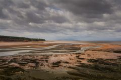 Ebbe in der Bay of  Fundy