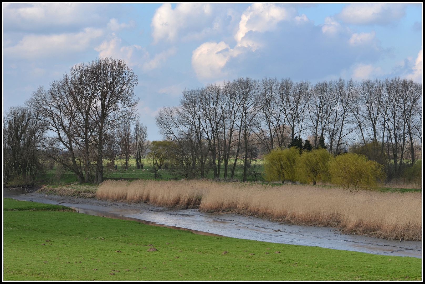 Ebbe in der Wedeler Marsch