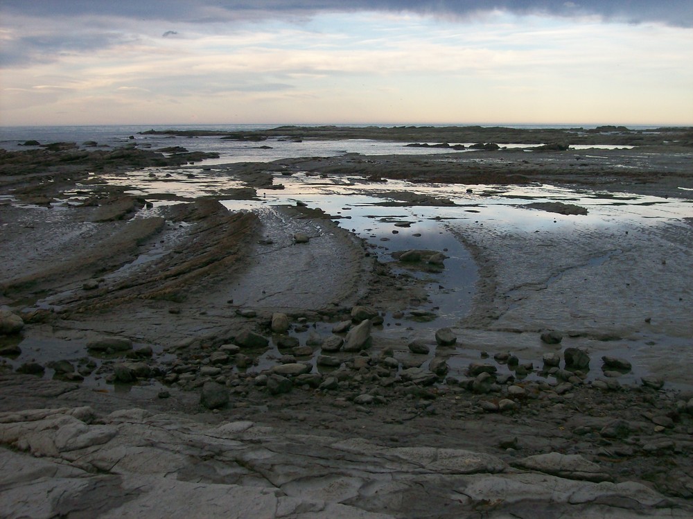 Ebbe in Kaikoura (Neuseeland)