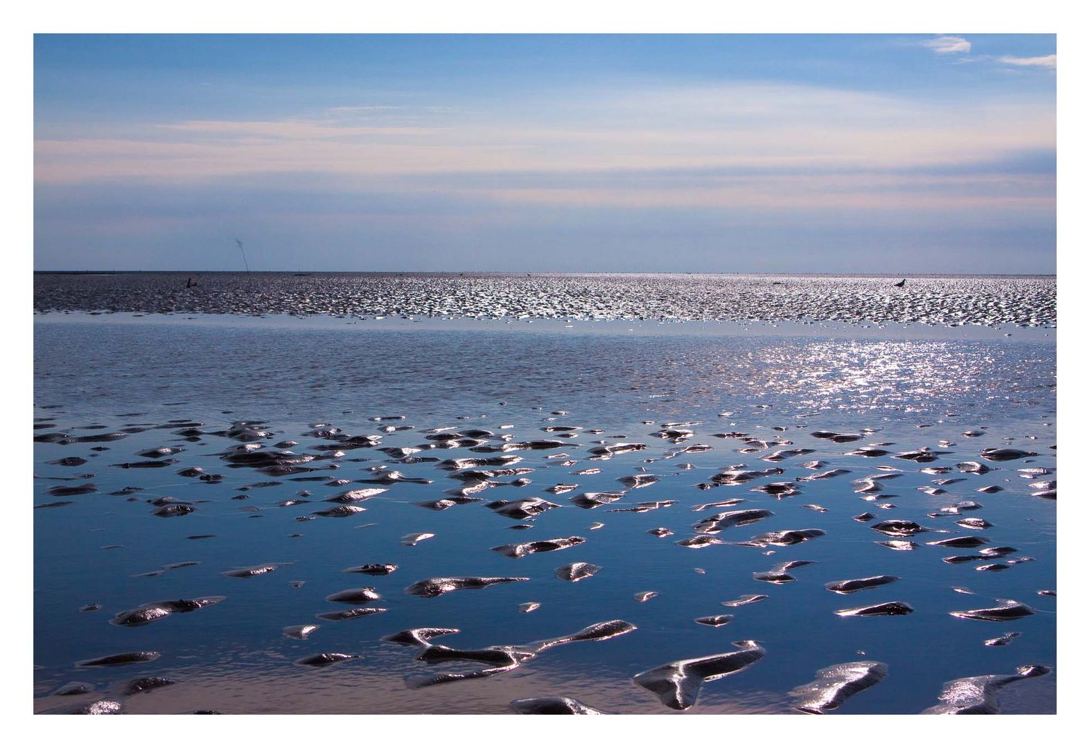 Ebbe in Norddeich