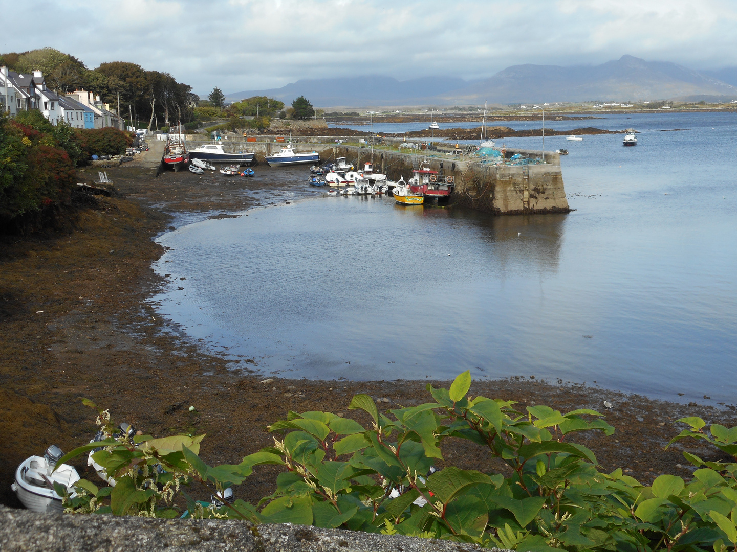 Ebbe in Roundstone