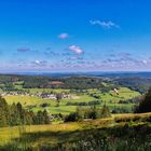 Ebbe-Nordhang im Sommer