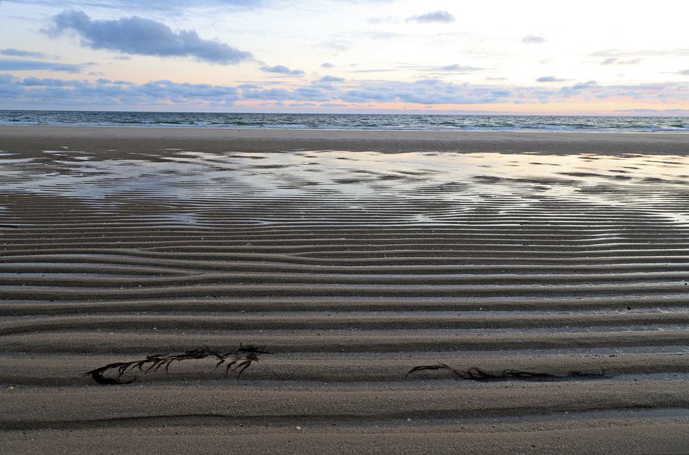 Ebbe und Flut Foto & Bild | deutschland, europe, schleswig ...