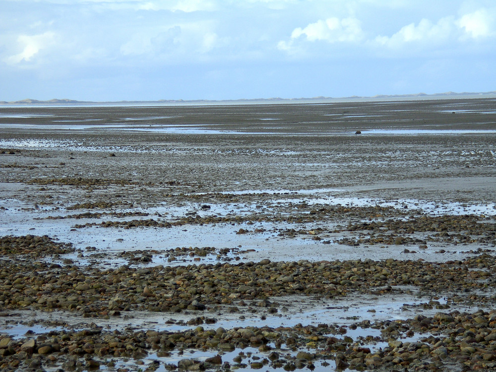 Ebbe zwischen Föhr Amrum und Sylt