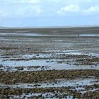 Ebbe zwischen Föhr Amrum und Sylt