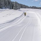 Ebbrezza della velocità - Campo carlo Magno