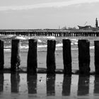 ebbtide at Warnemünde beach