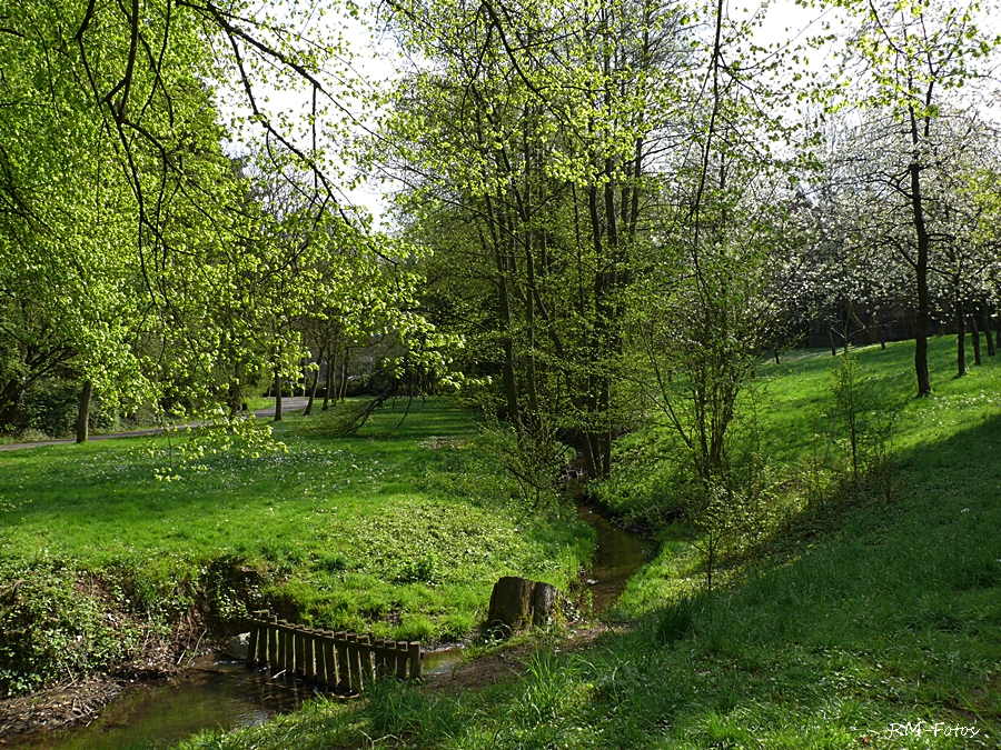 eben im Stadtpark